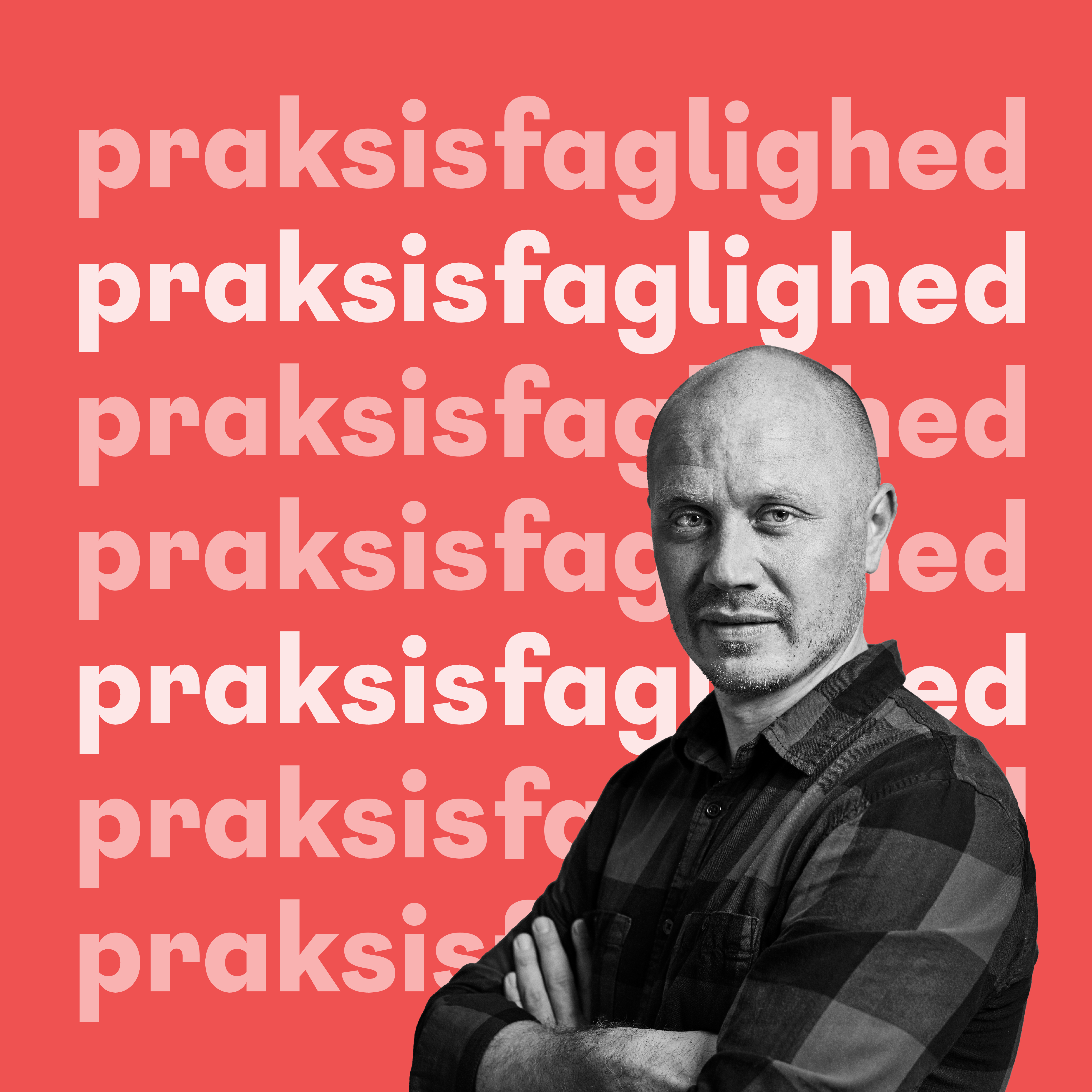 Praksisfaglighed grafik