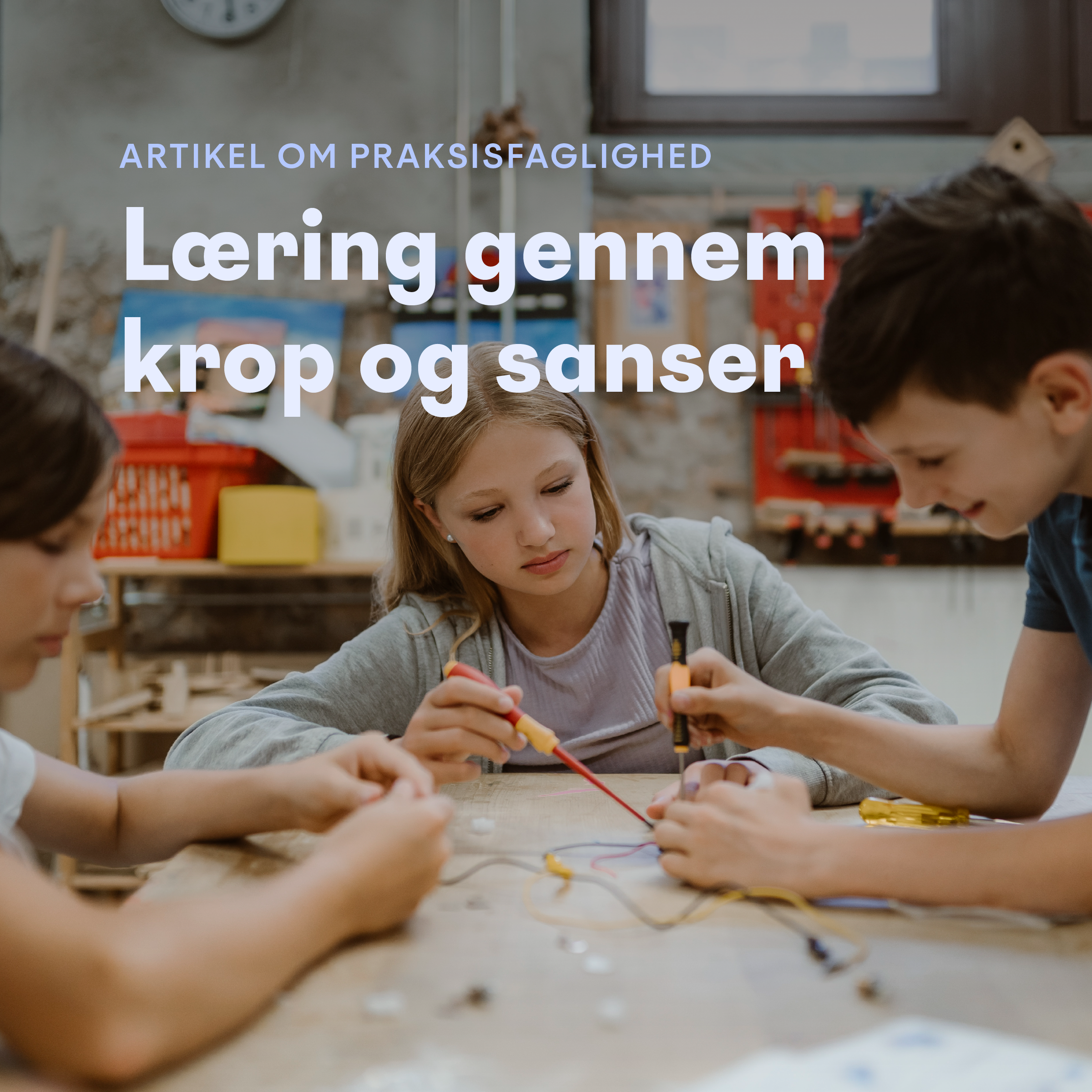 Praksisfaglighed grafik