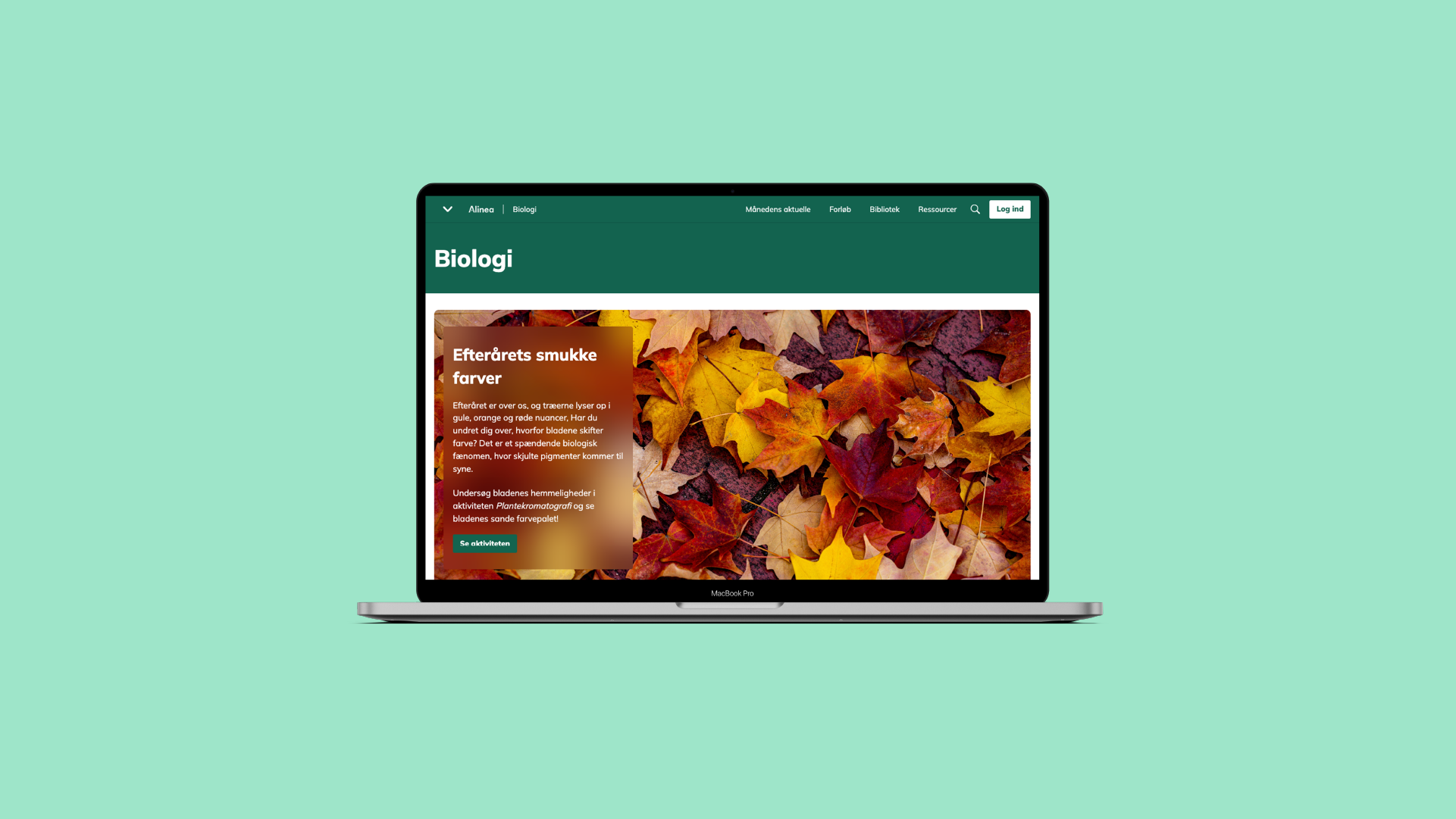 Grafik, fagportal