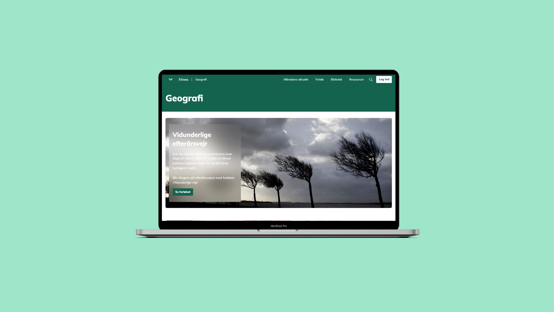 Grafik, fagportal