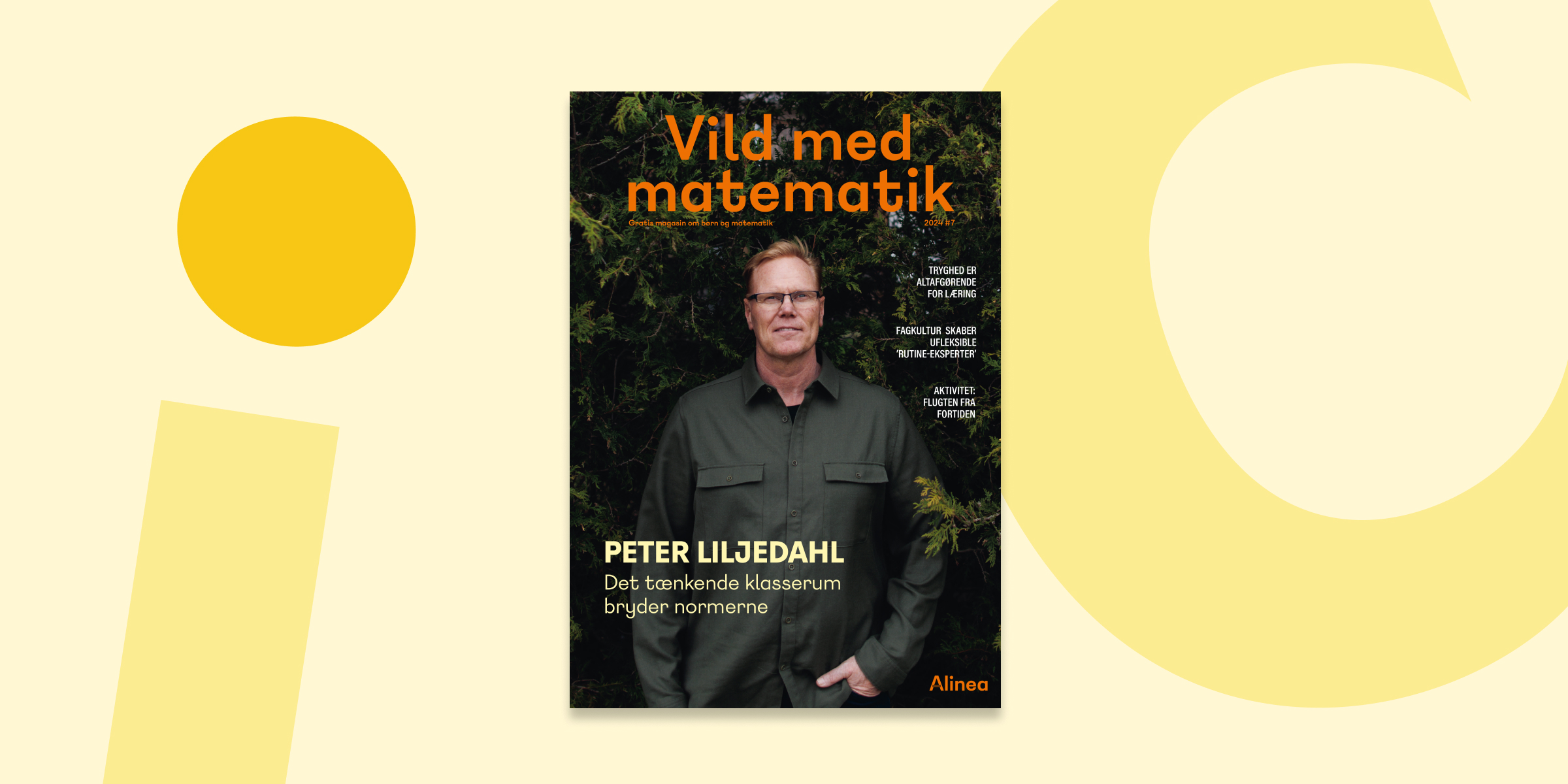 VMM kampagnefelt