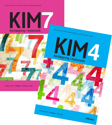 Kortlægning i matematik