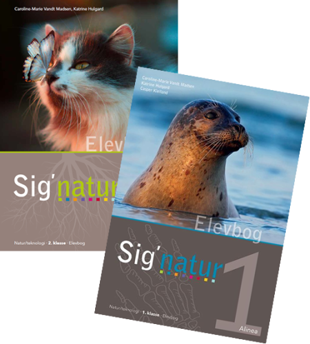 Signatur indskoling gennemsynspakke