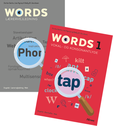 Gennemsynspakke, Words