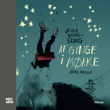 At gynge i mørke