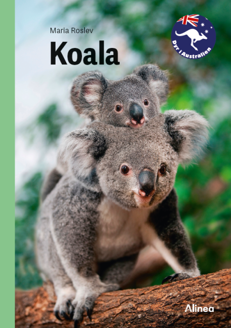 Koala, Grøn Fagklub