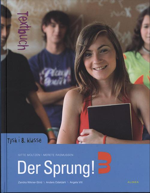 Der Sprung! 3, Textbuch/Web