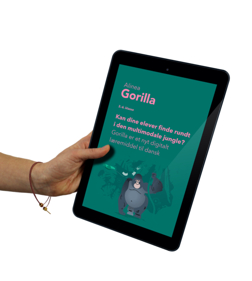 Workshop, Gorilla