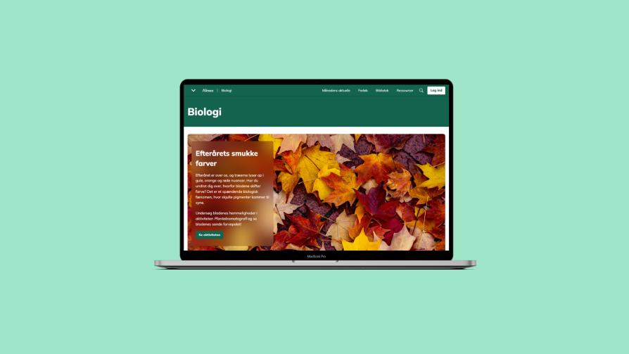 Grafik, fagportal