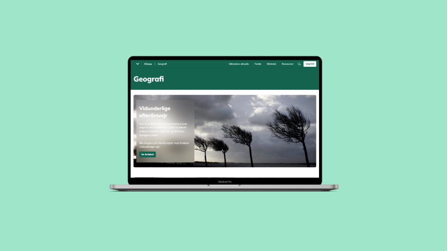 Grafik, fagportal