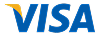 visa epayment